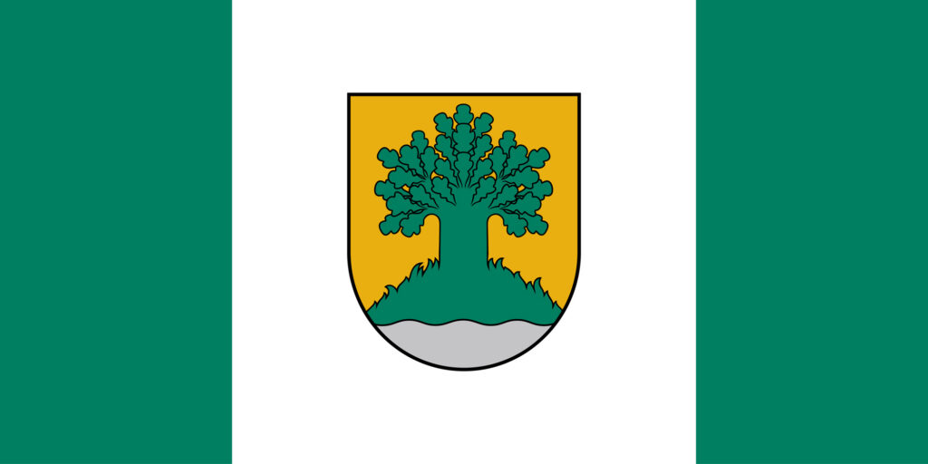 Apstiprināts Valmieras novada karogs