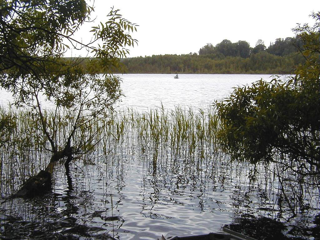 Ar smaidu...