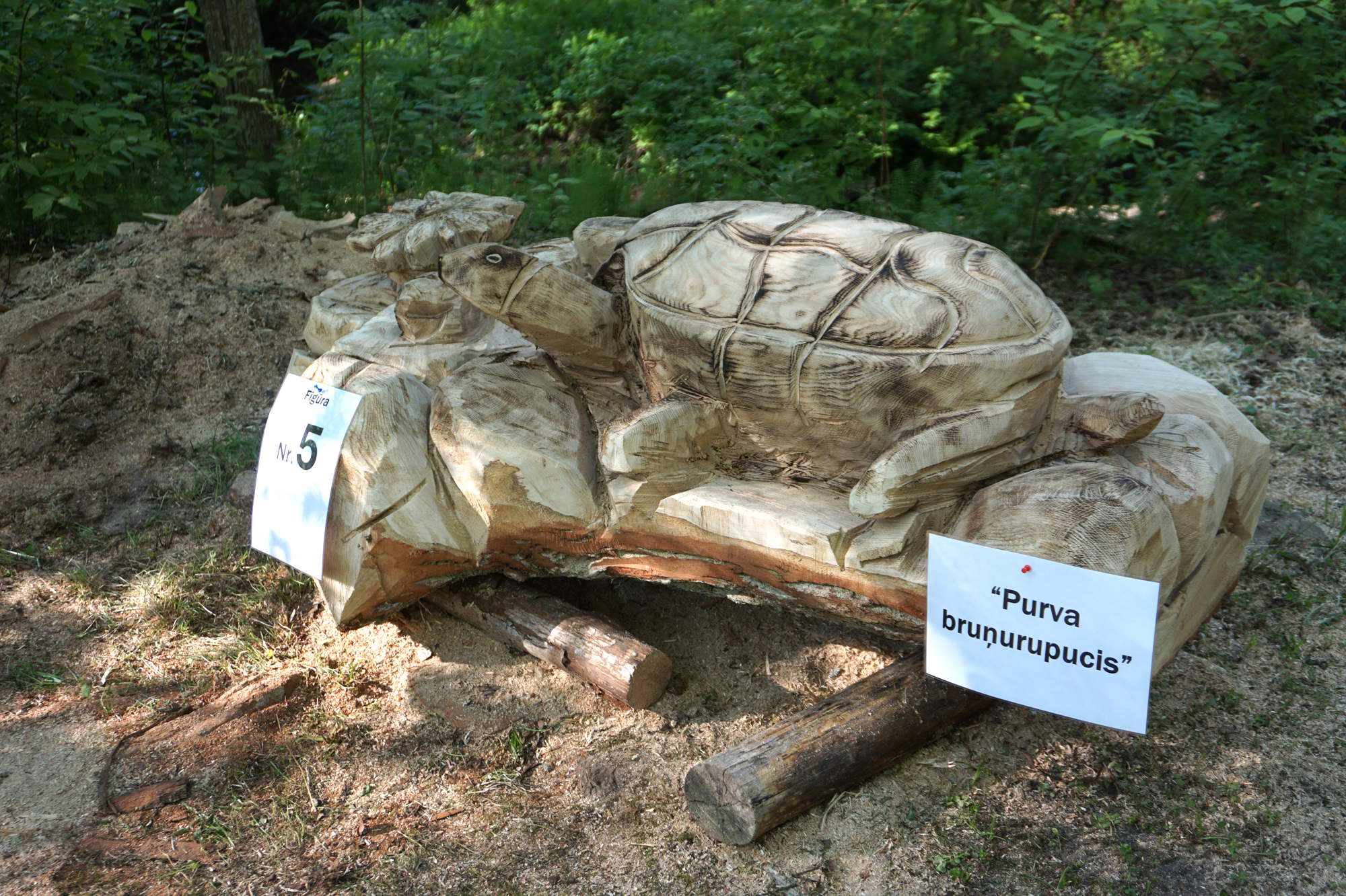 "Purva bruņurupucis" un pārējie