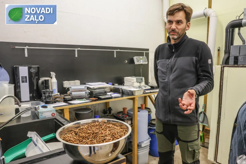 Aprites ekonomika ir arī par kāpuriem