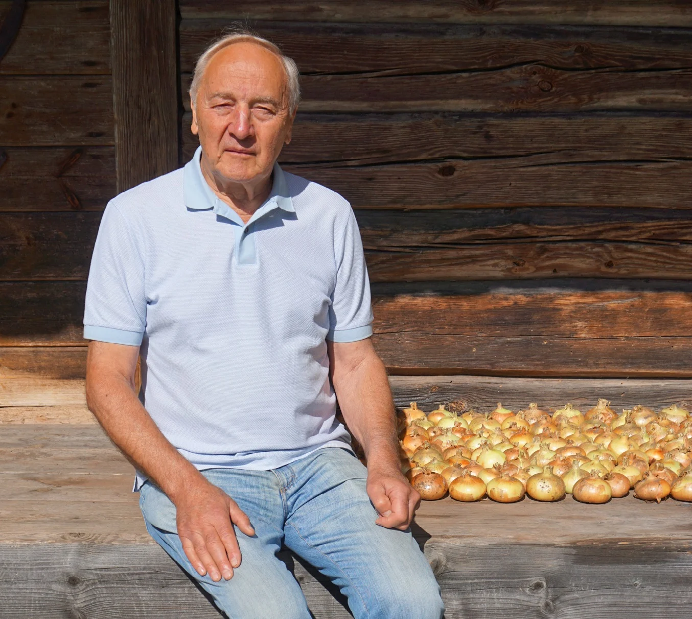Skats uz lietām no Amatas krasta
